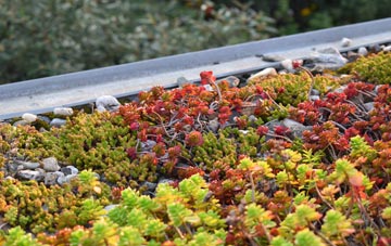 the cost of Talkin green roof installation