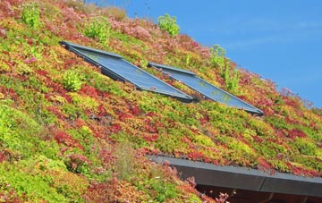 Talkin living roof systems